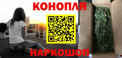 крисы Апшеронск