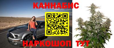 крисы Апшеронск