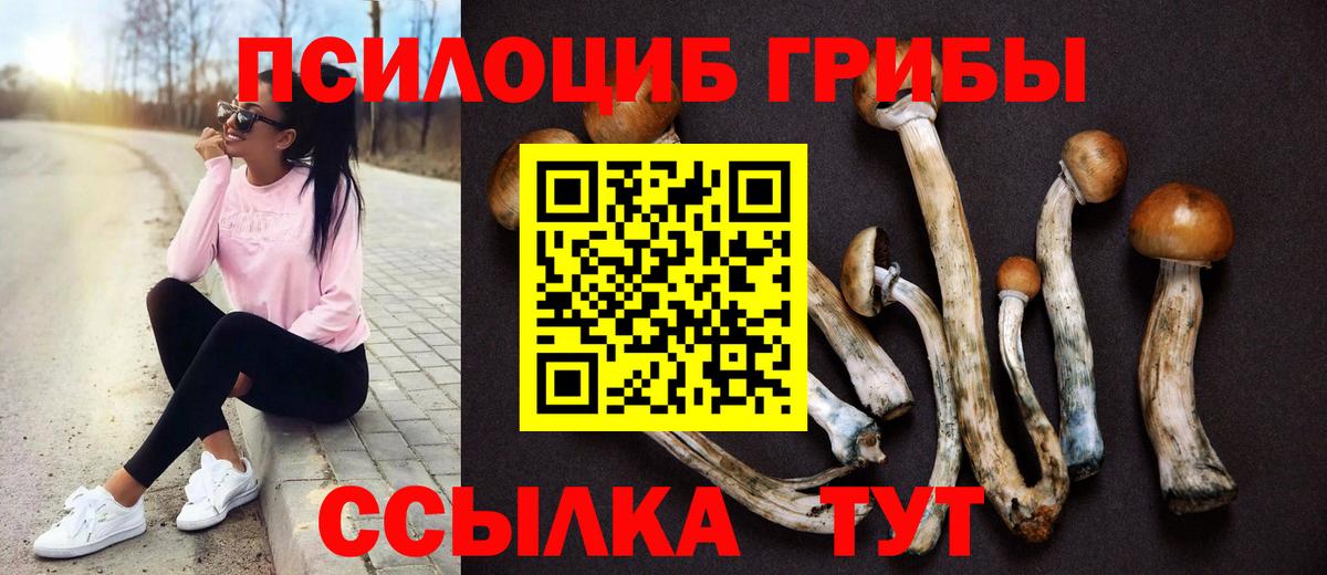 Верхняя Салда  Галлюциногенные грибы Psilocybine cubensis  Вход с VPN 